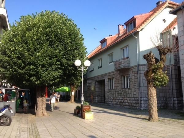Гостевой дом Guest House Sibirska Колашин-4