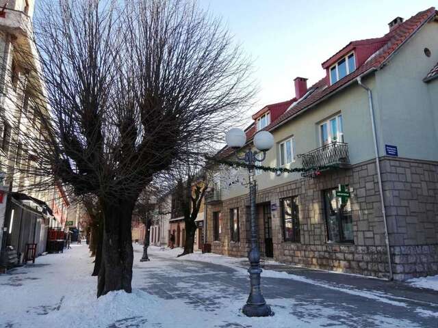 Гостевой дом Guest House Sibirska Колашин-47